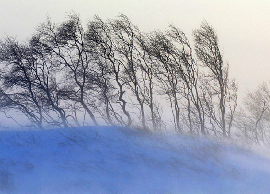В Тверскую область вернулся сильный ветер