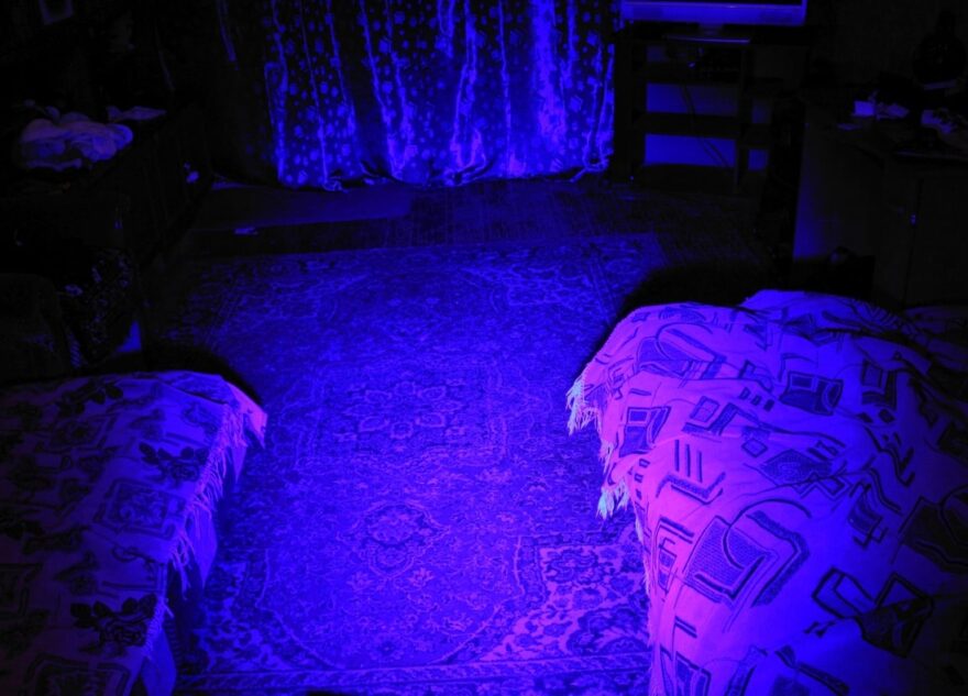 Тело убитого мужчины нашли в квартире в Тверской области