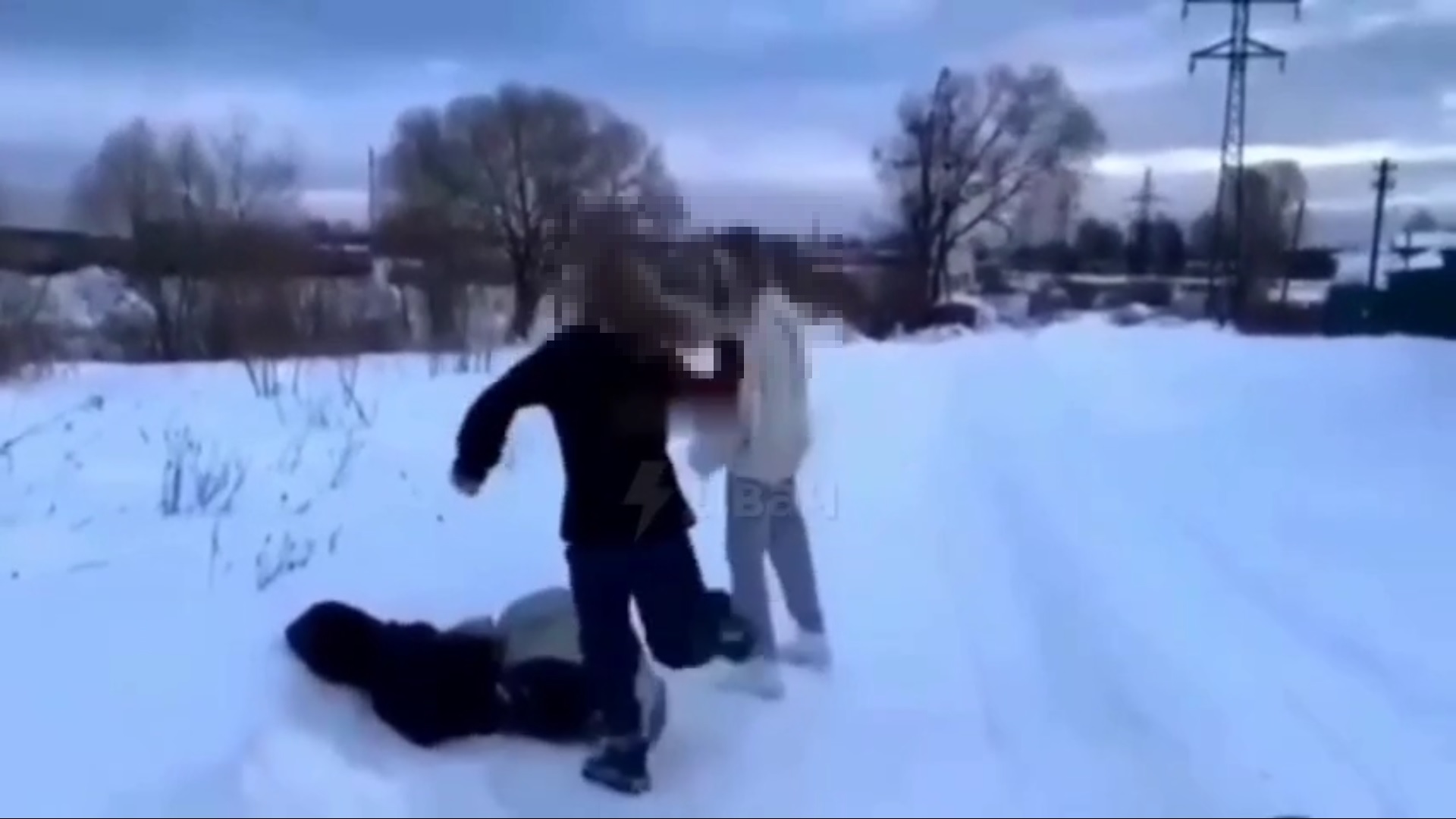 Школы Тверской области накажут за избиение девочки их учениками  