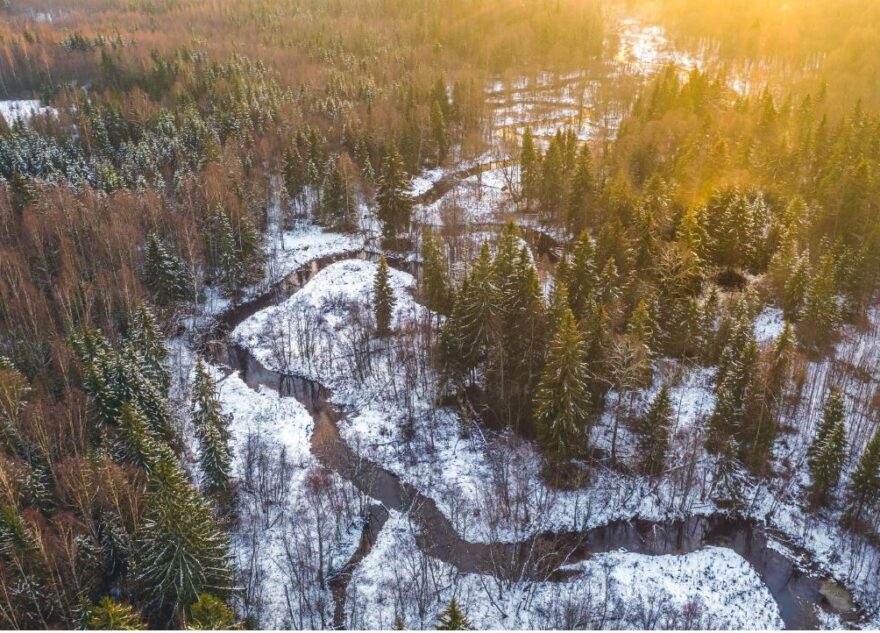 Сотрудники заповедной системы Тверской области отмечают профессиональный праздник