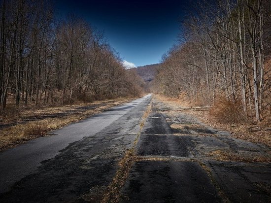 Жителя Андреапольского района обязали устранить загрязнение дороги