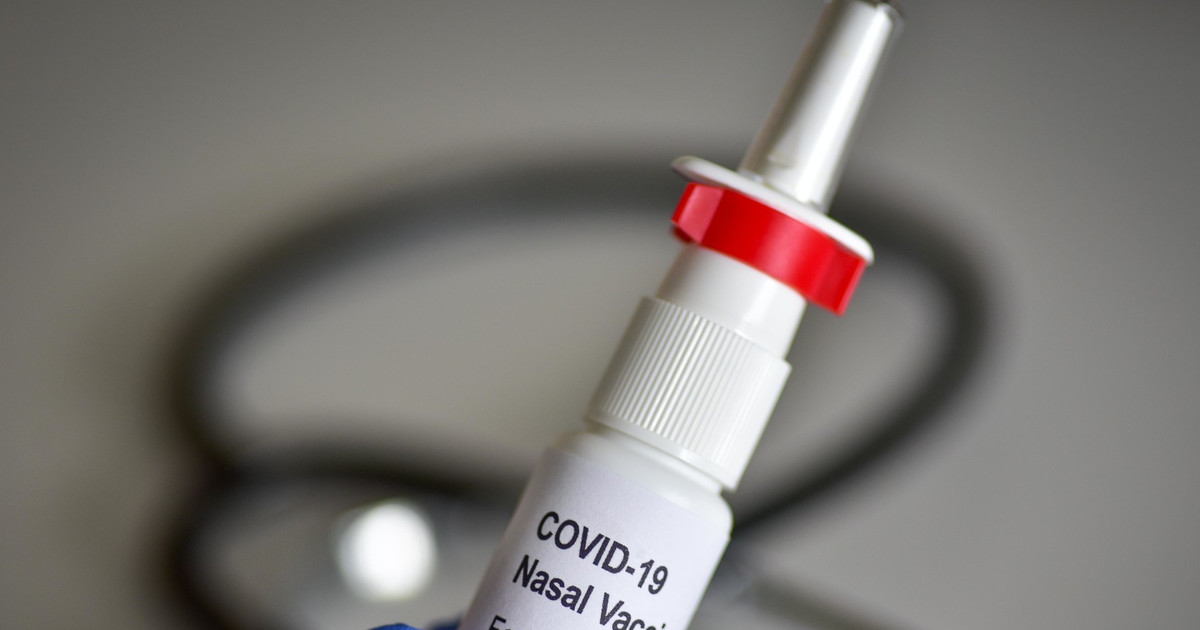 В России начались клинические испытания второй назальной вакцины от коронавируса В России начались клинические испытания второй назальной вакцины от коронавируса