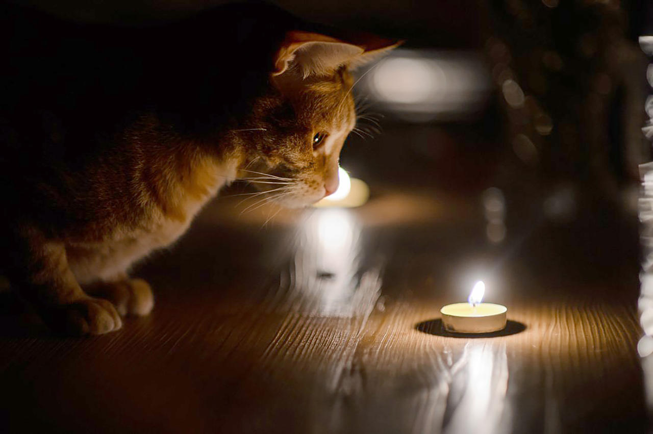 Жители двух районов Твери вновь остались без света