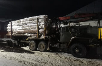 Житель Тверской области напилил елей и сосен на полтора миллиона рублей