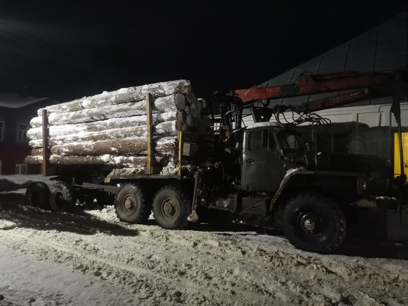 Житель Тверской области напилил елей и сосен на полтора миллиона рублей