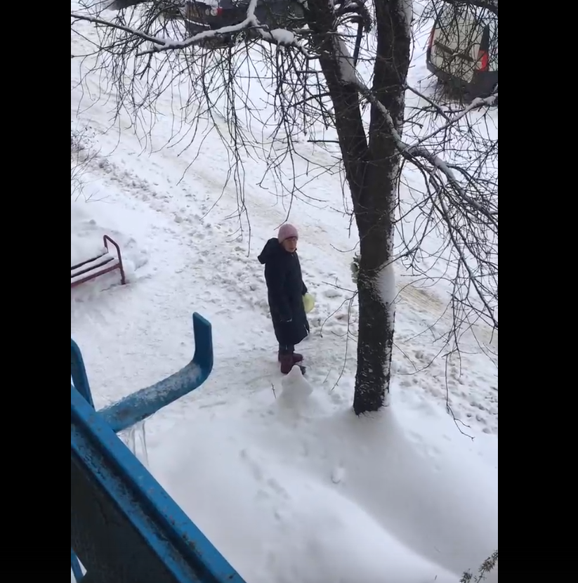 Жители города в Тверской области возмущены соседкой, которая кормит собачью свору