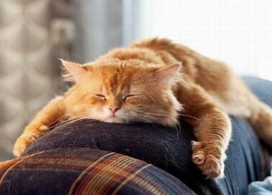 Жителям Тверской области напомнили о праздничных днях в феврале и марте