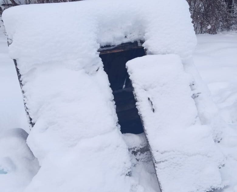 Жители деревни под Тверью просят помощи из-за проблем с питьевой водой