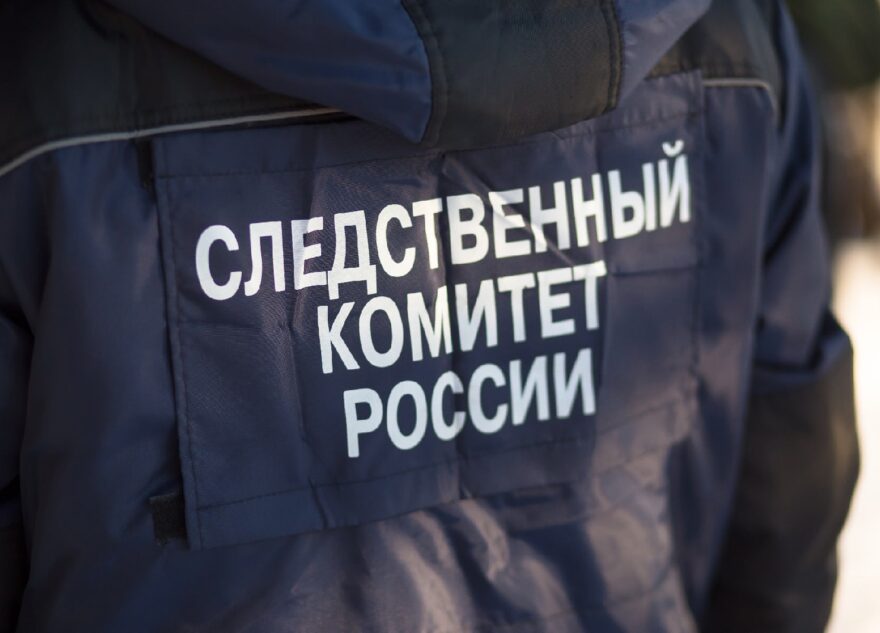 В Тверской области на детей напала собака