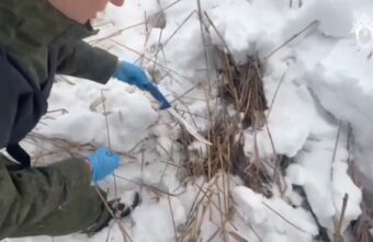 В Тверской области пенсионерку убили ради телефона и кошелька