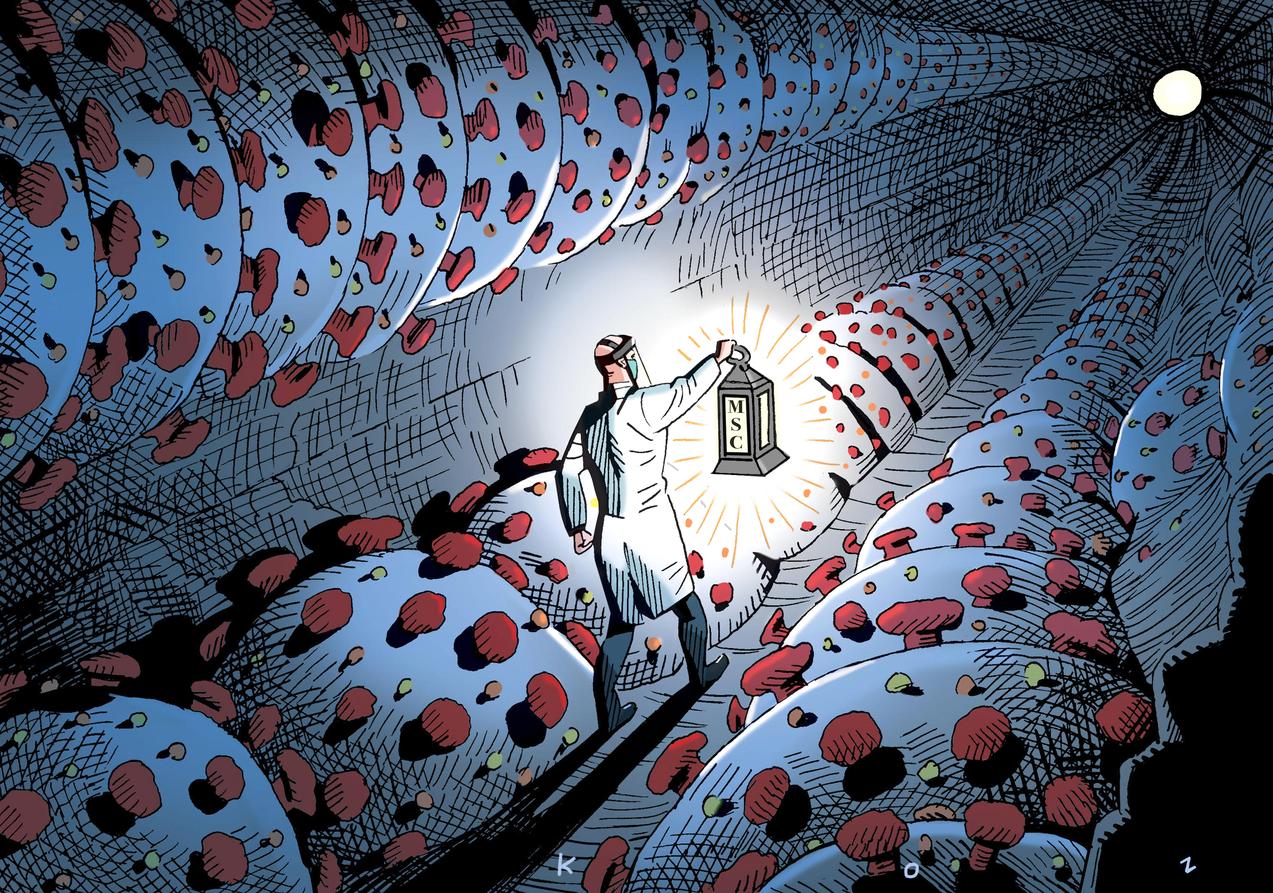 Ещё 978 жителей Тверской области заразились коронавирусом к 1 февраля