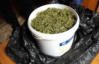 В Тверской области задержали мужчину с ведром марихуаны