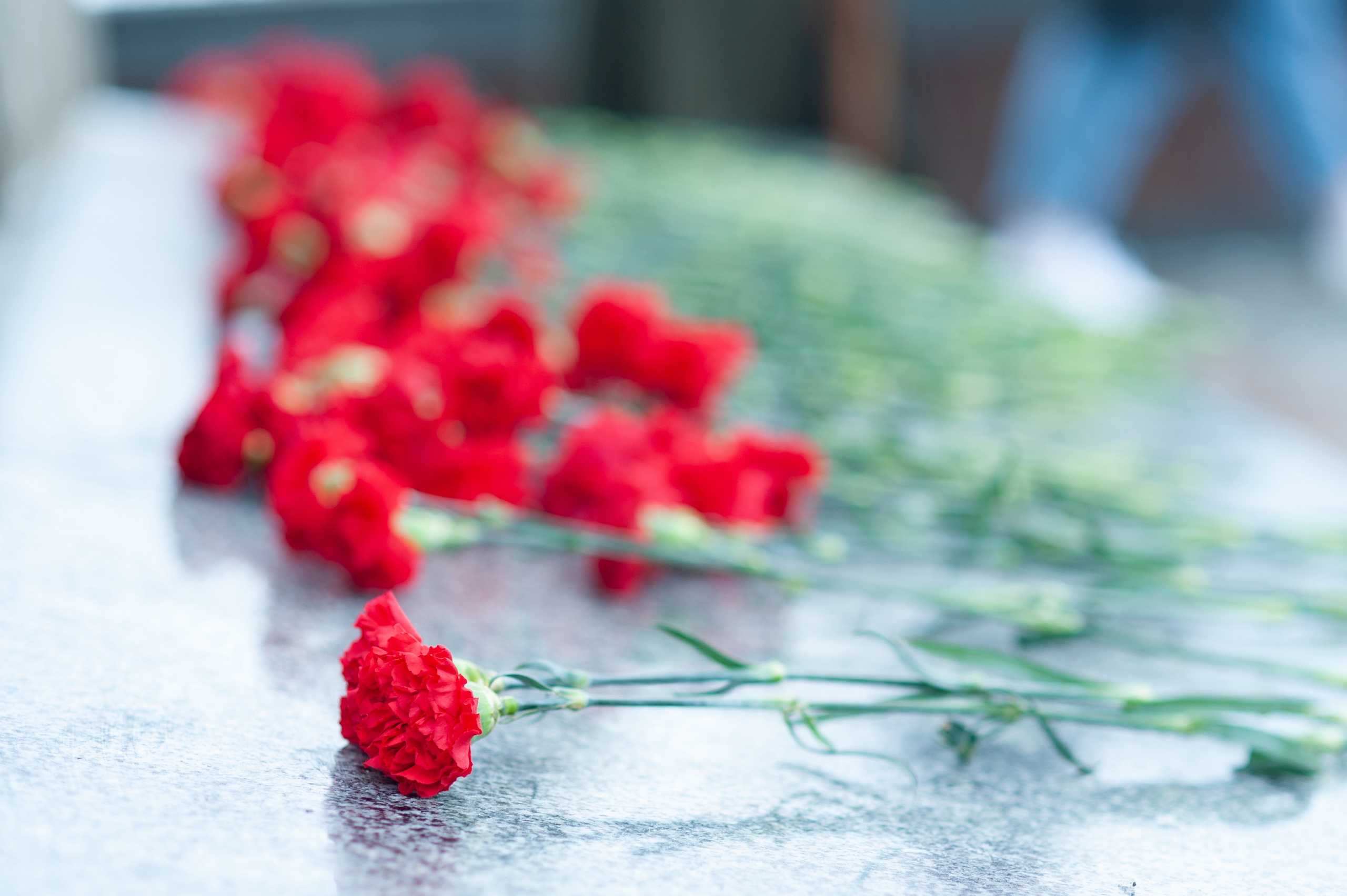 Жители Тверской области почтили память десятков погибших земляков