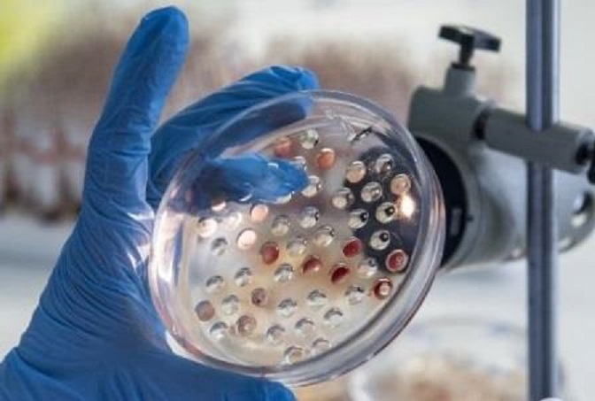 370 исследований по диагностике лейкоза КРС провели специалисты Тверской МВЛ