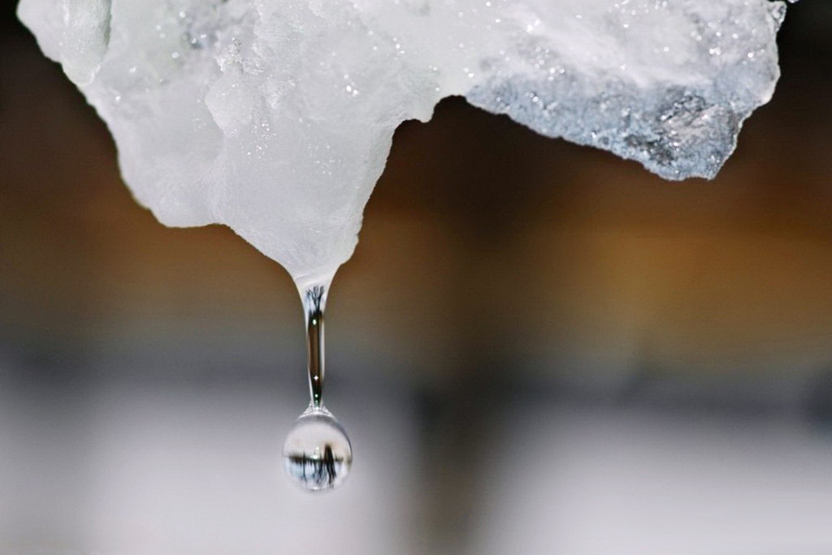 Погода в Тверской области больше чем на месяц опередит календарь