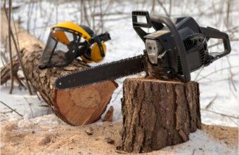 «Чёрный лесоруб» в Тверской области возместил ущерб и заплатил штраф «Чёрный лесоруб» в Тверской области возместил ущерб и заплатил штраф