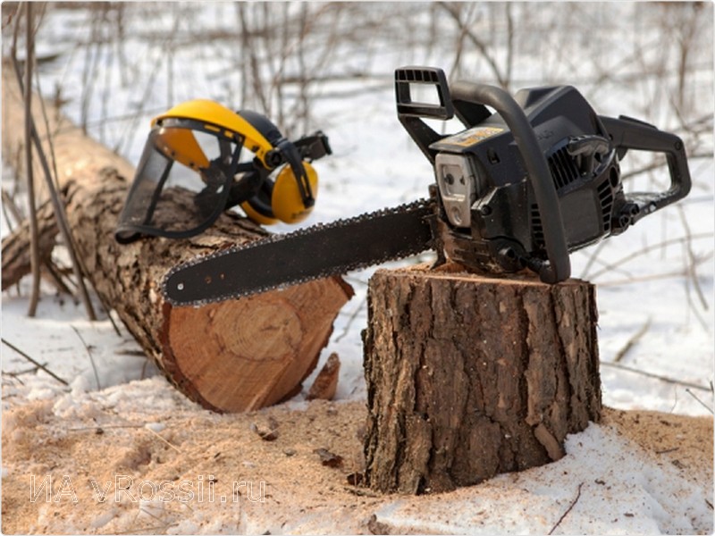 «Чёрный лесоруб» в Тверской области возместил ущерб и заплатил штраф  