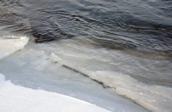 Труп женщины достали из реки в Тверской области