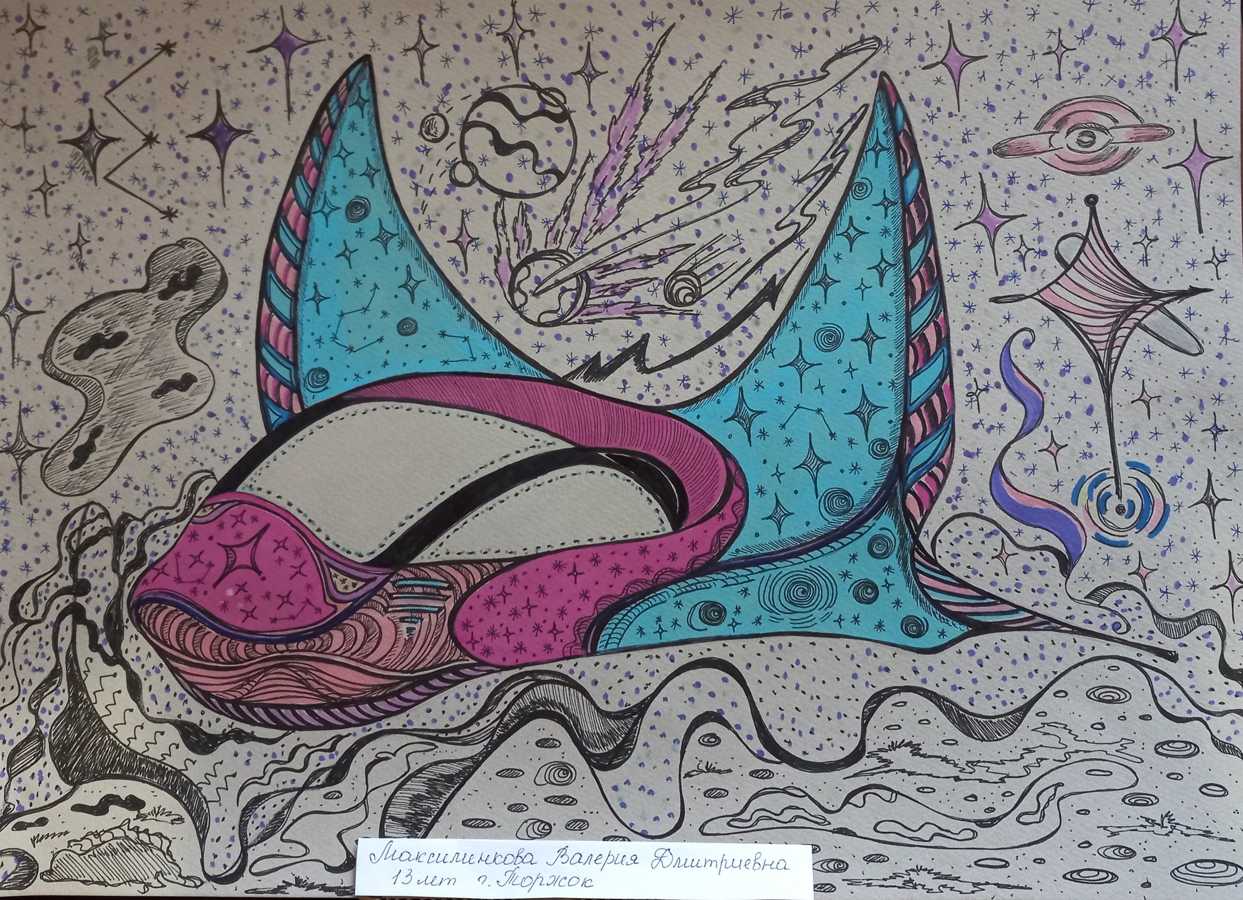 Школьники Тверской области показали свои разработки