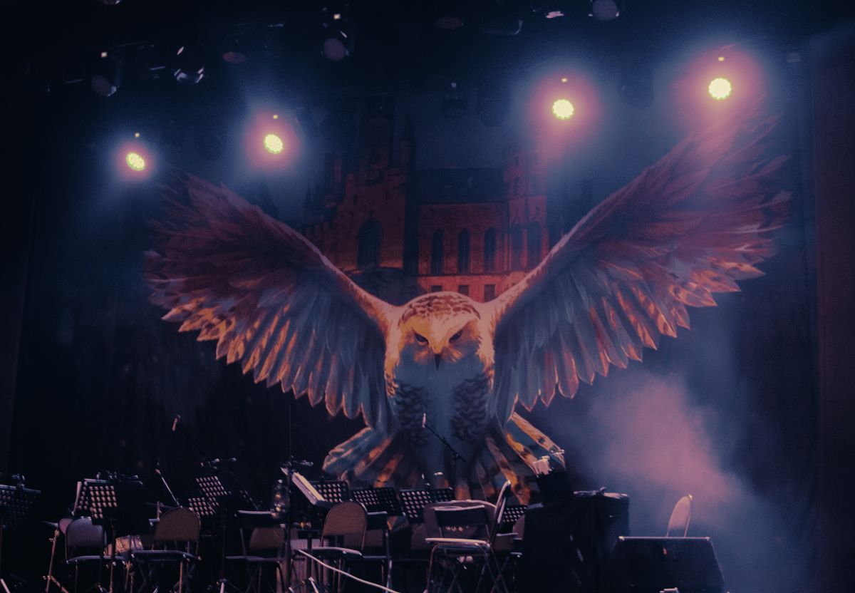 Это точно магия: музыканты Sonorus буквально заворожили тверских зрителей