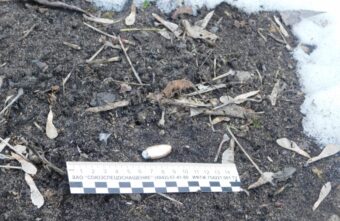 В Твери мужчина скончался после пулевого ранения в грудь В Твери мужчина скончался после пулевого ранения в грудь