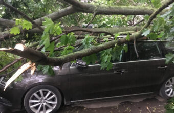 Жительница Твери отсудила ущерб, причинённый упавшим на машину деревом Жительница Твери отсудила ущерб, причинённый упавшим на машину деревом