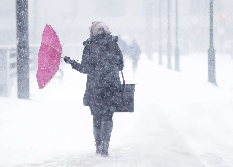 МЧС предупреждает: на Тверскую область надвигается сильный ветер