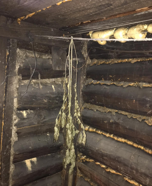  В доме у жителя Тверской области полицейские нашли коноплю и марихуану