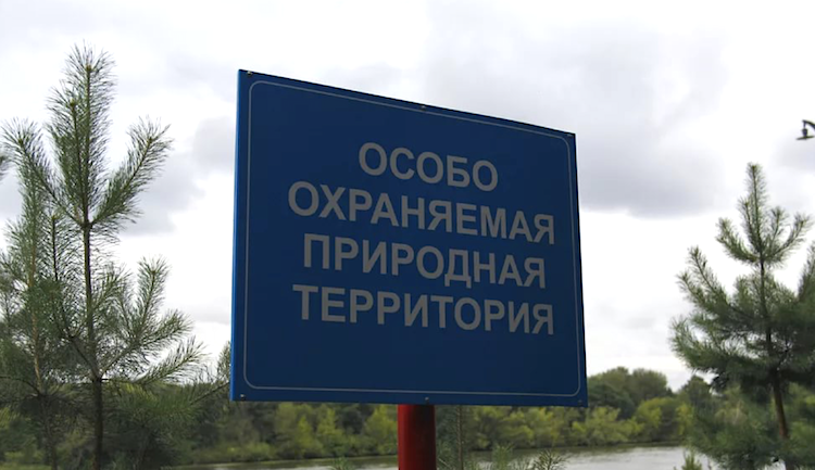 Ещё 8 природных территорий будут особенно охранять в Тверской области