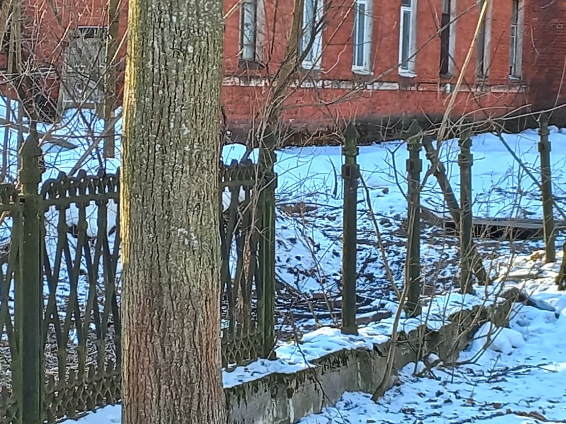 Жители Тверской области переживают за исторический забор