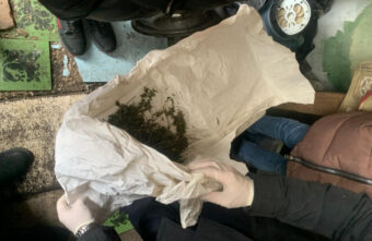 Молодой житель Тверской области хранил в сарае марихуану