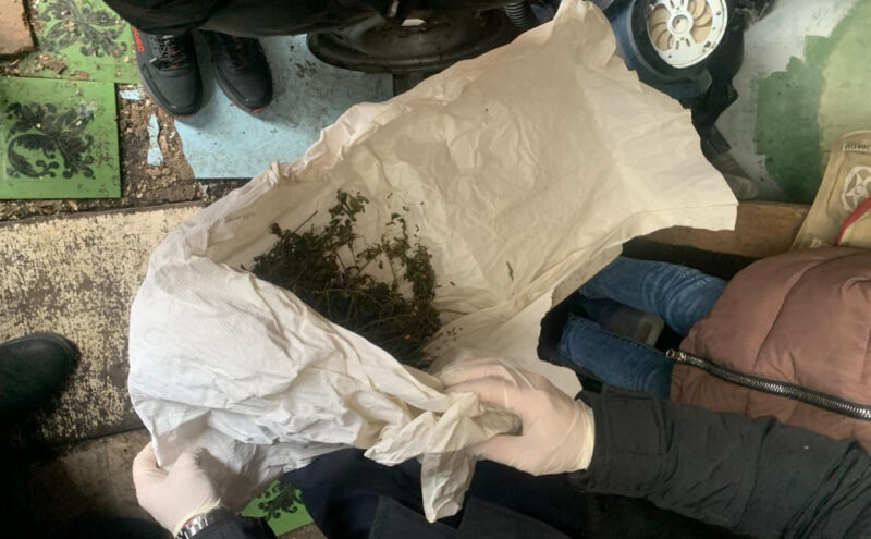 Молодой житель Тверской области хранил в сарае марихуану