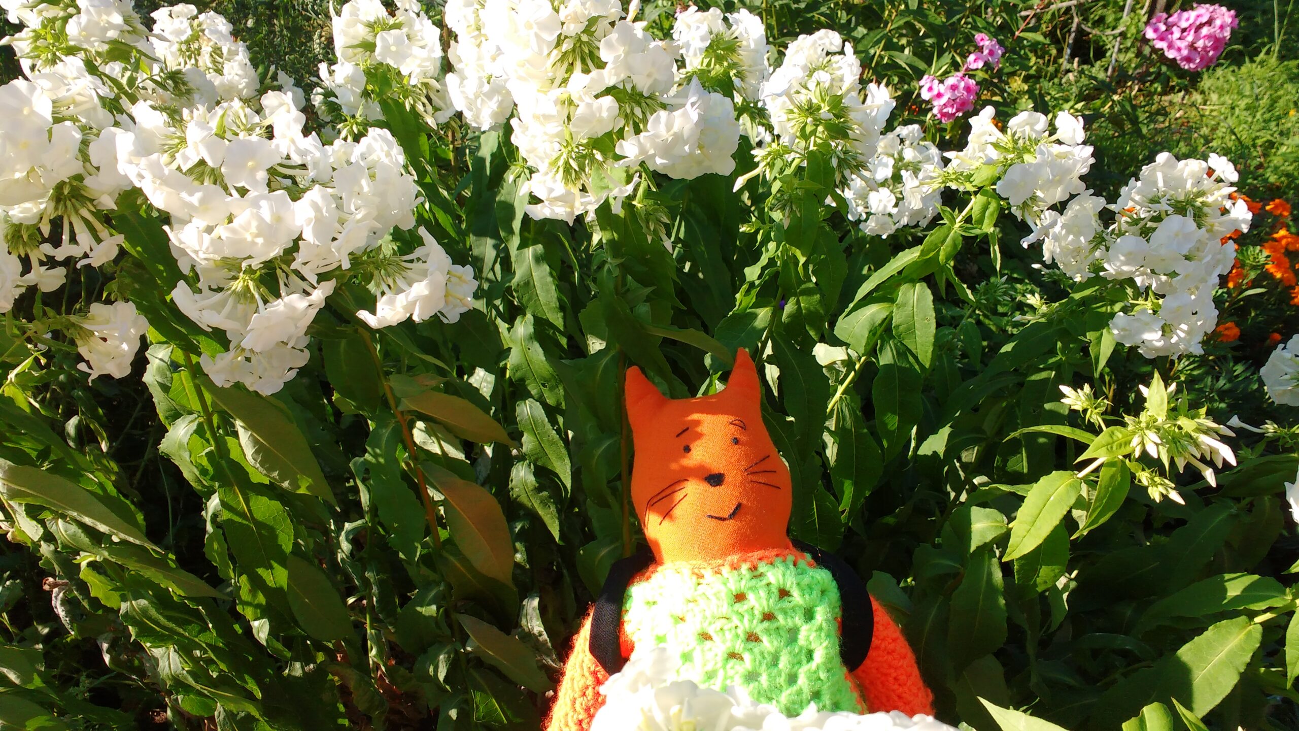 Жители Тверской области могут вновь купить поездки с туристическим кешбэком