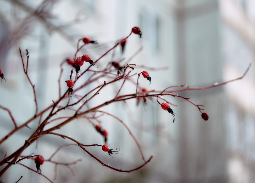 В Тверскую область приходит настоящая весна