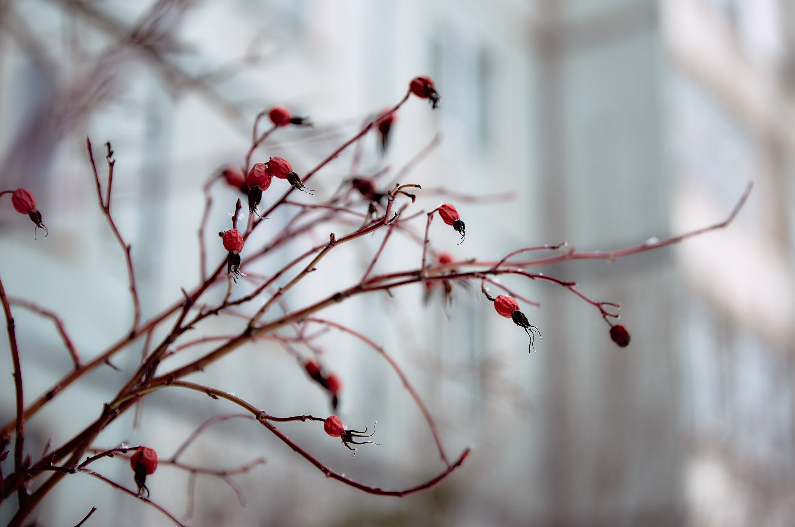 В Тверскую область приходит настоящая весна