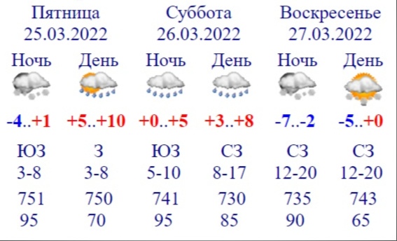 Погода приготовила для Тверской области неприятные сюрпризы