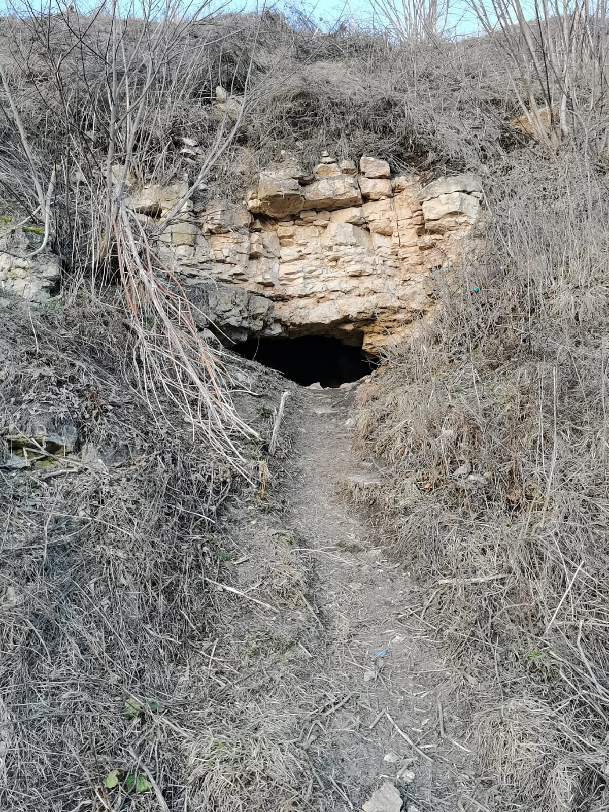 Жители Тверской области пытаются раскрыть тайну старинного подземного хода
