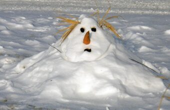 Погода в Тверской области готовится побить тепловые рекорды Погода в Тверской области готовится побить тепловые рекорды
