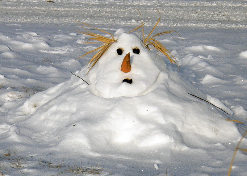Погода в Тверской области готовится побить тепловые рекорды