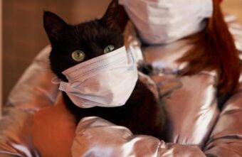 Роспотребнадзор рекомендует отменить все антиковидные ограничения, кроме масочного режима Роспотребнадзор рекомендует отменить все антиковидные ограничения, кроме масочного режима