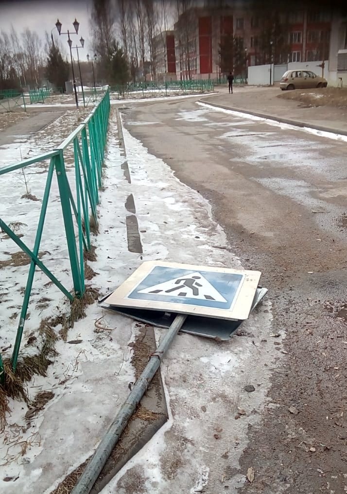 В Тверской области ликвидируют последствия ураганного ветра