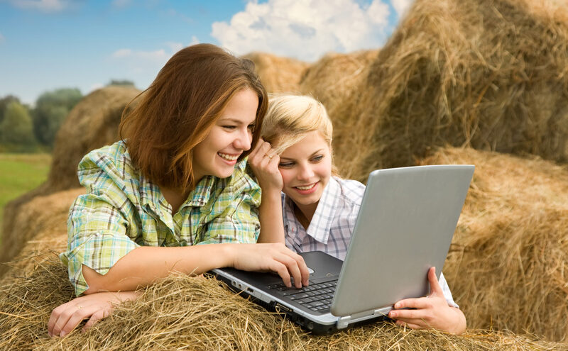 Беле-Кушальское, Мермерины, Лисицы: для калининских дачников МТС ускорила интернет 4G