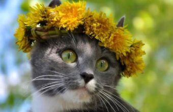 Синоптики изменили прогноз погоды на апрель в Тверской области Синоптики изменили прогноз погоды на апрель в Тверской области