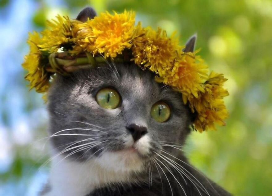 Синоптики изменили прогноз погоды на апрель в Тверской области