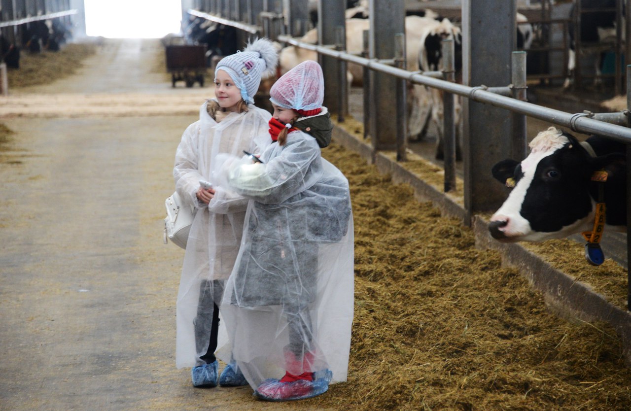 В Тверской области увеличены направления для получения грантов «Агростартап»