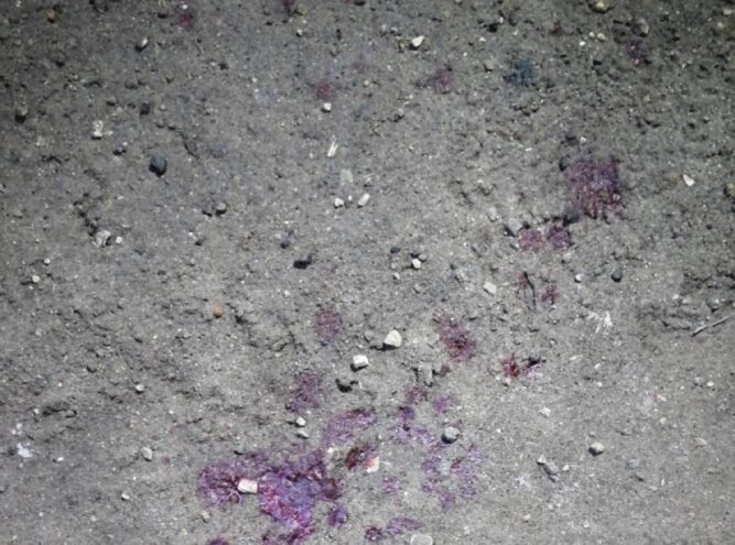 Двое детей на мотоцикле попали в аварию в Тверской области