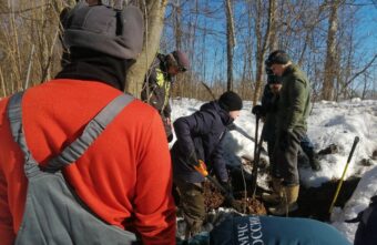 В Тверской области из-под земли достали раненую собаку