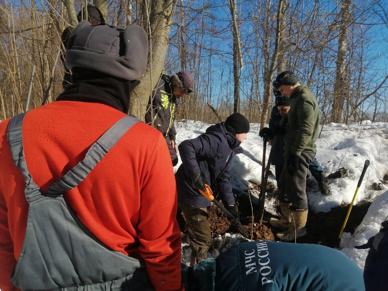 В Тверской области из-под земли достали раненую собаку