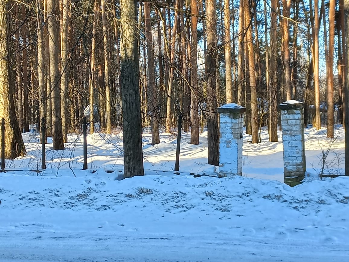Жители Тверской области переживают за исторический забор