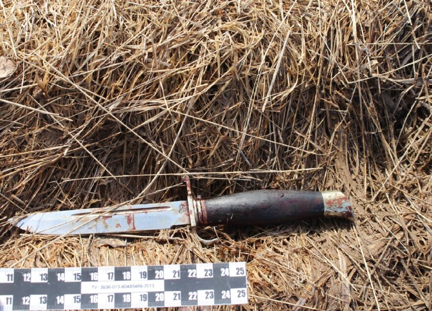 Вблизи деревни в Тверской области нашли труп мужчины